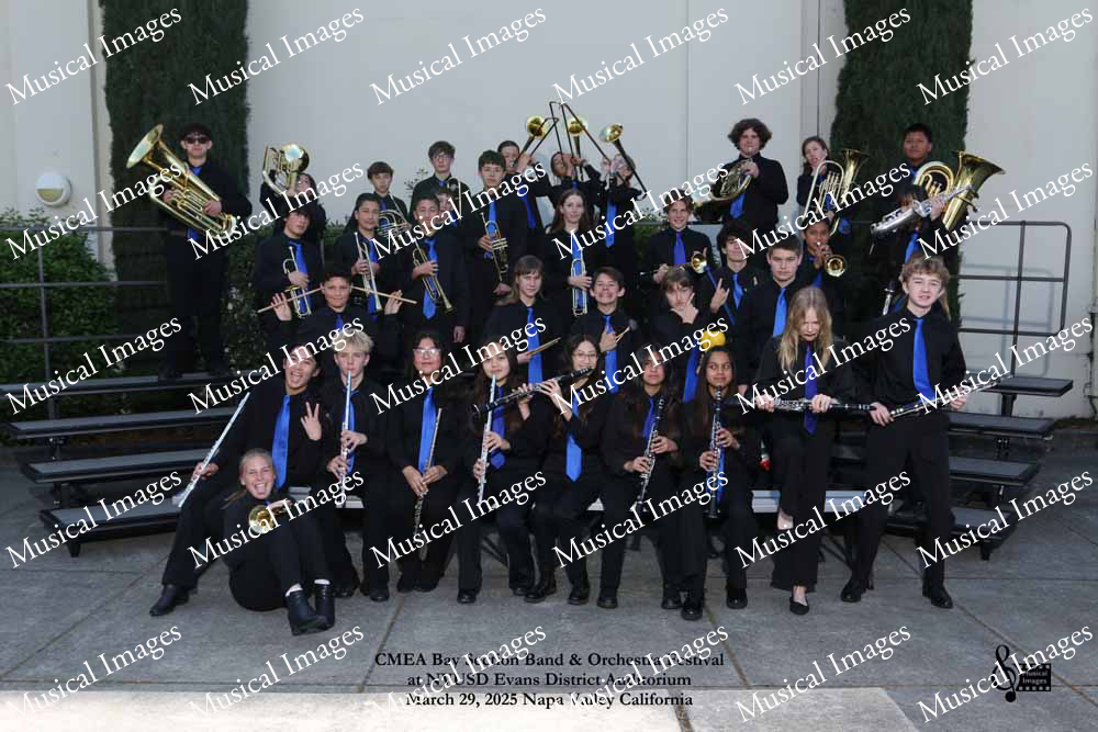 Musical Images